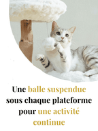 Arbre_a_Chat_Design_Bois_Caracteristique_2