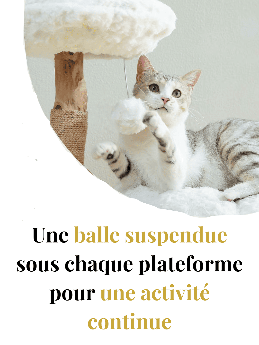 Arbre_a_Chat_Design_Bois_Caracteristique_2