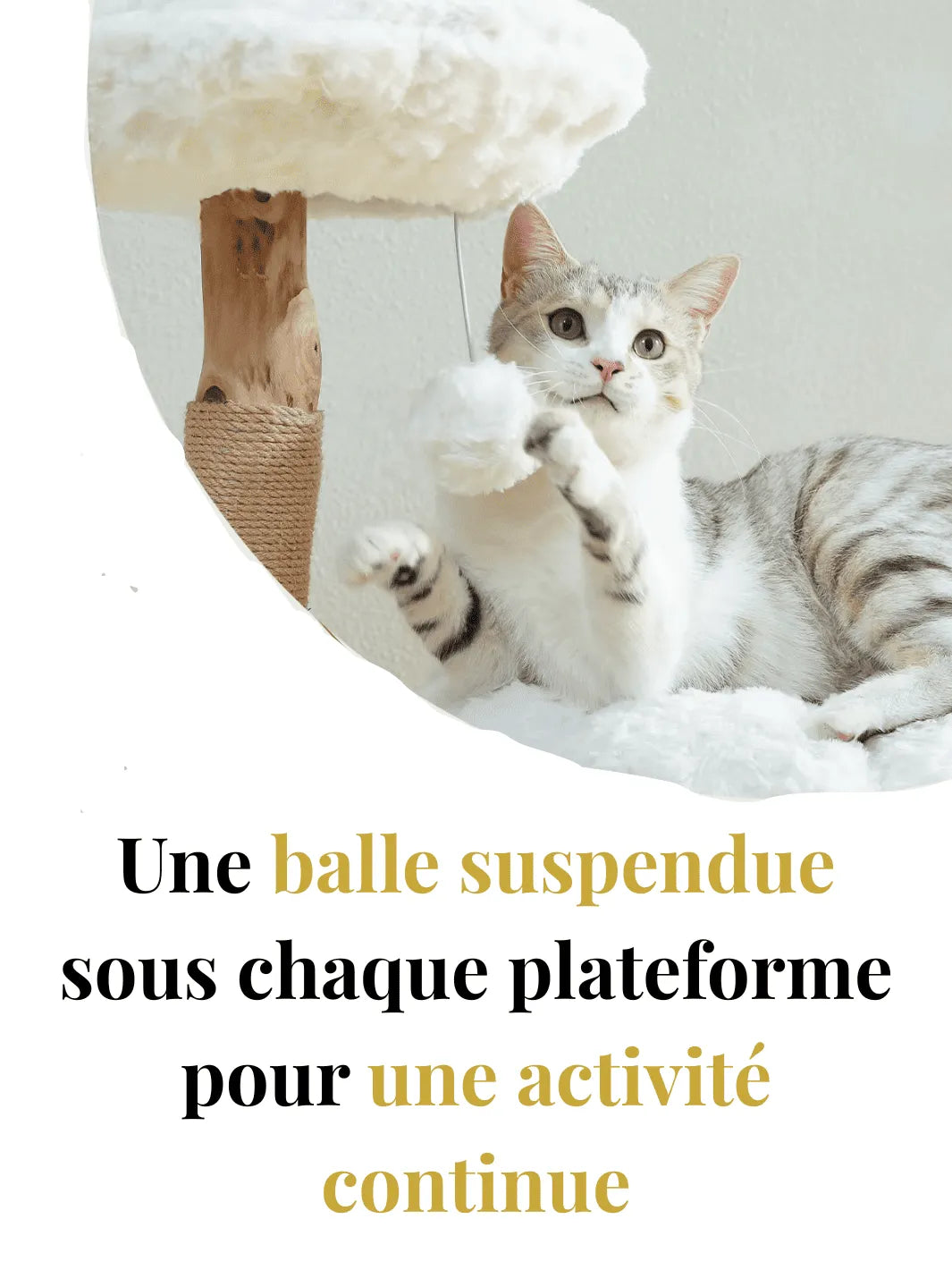 Arbre_a_Chat_Design_Bois_Caracteristique_2