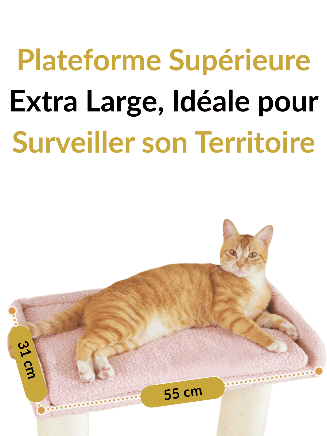 Arbre_a_Chat_Main_Coon_XXL_Caracteristique_2