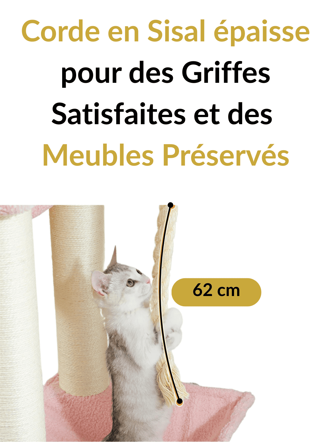 Arbre_a_Chat_Main_Coon_XXL_Caracteristique_3