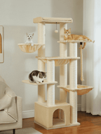 Arbre_a_Chat_Main_Coon_XXL_Interieur