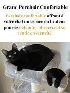 Arbre_a_Chat_Paradise_XXL_Caracteristique_1