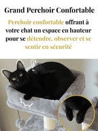 Arbre_a_Chat_Paradise_XXL_Caracteristique_1