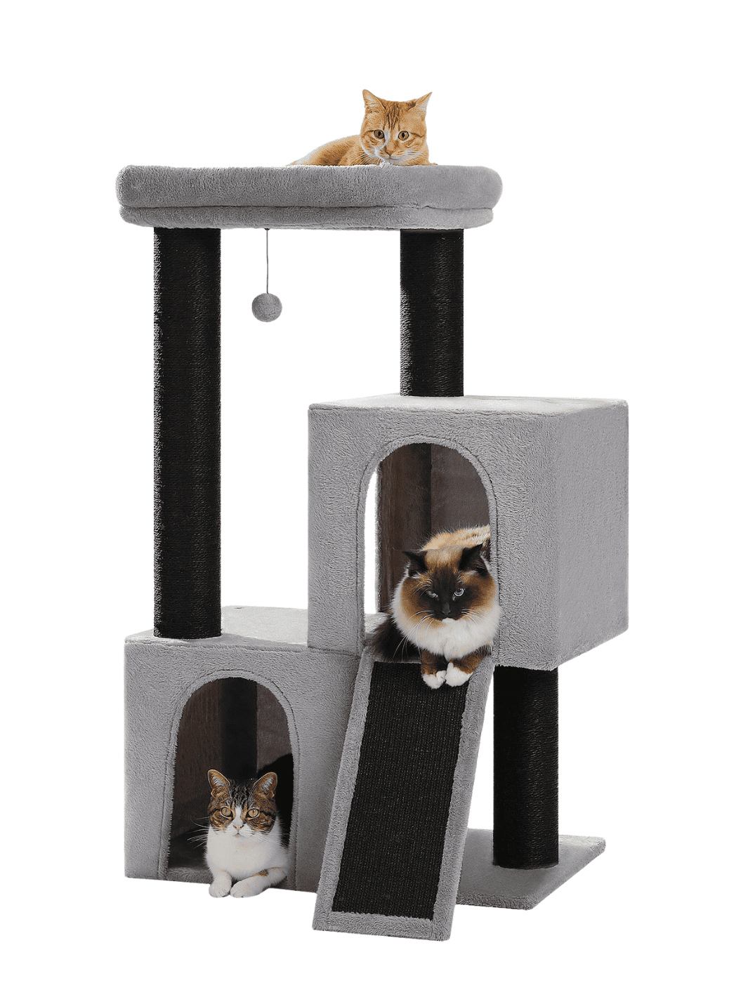 Arbre_a_Chat_Petit_Appartement