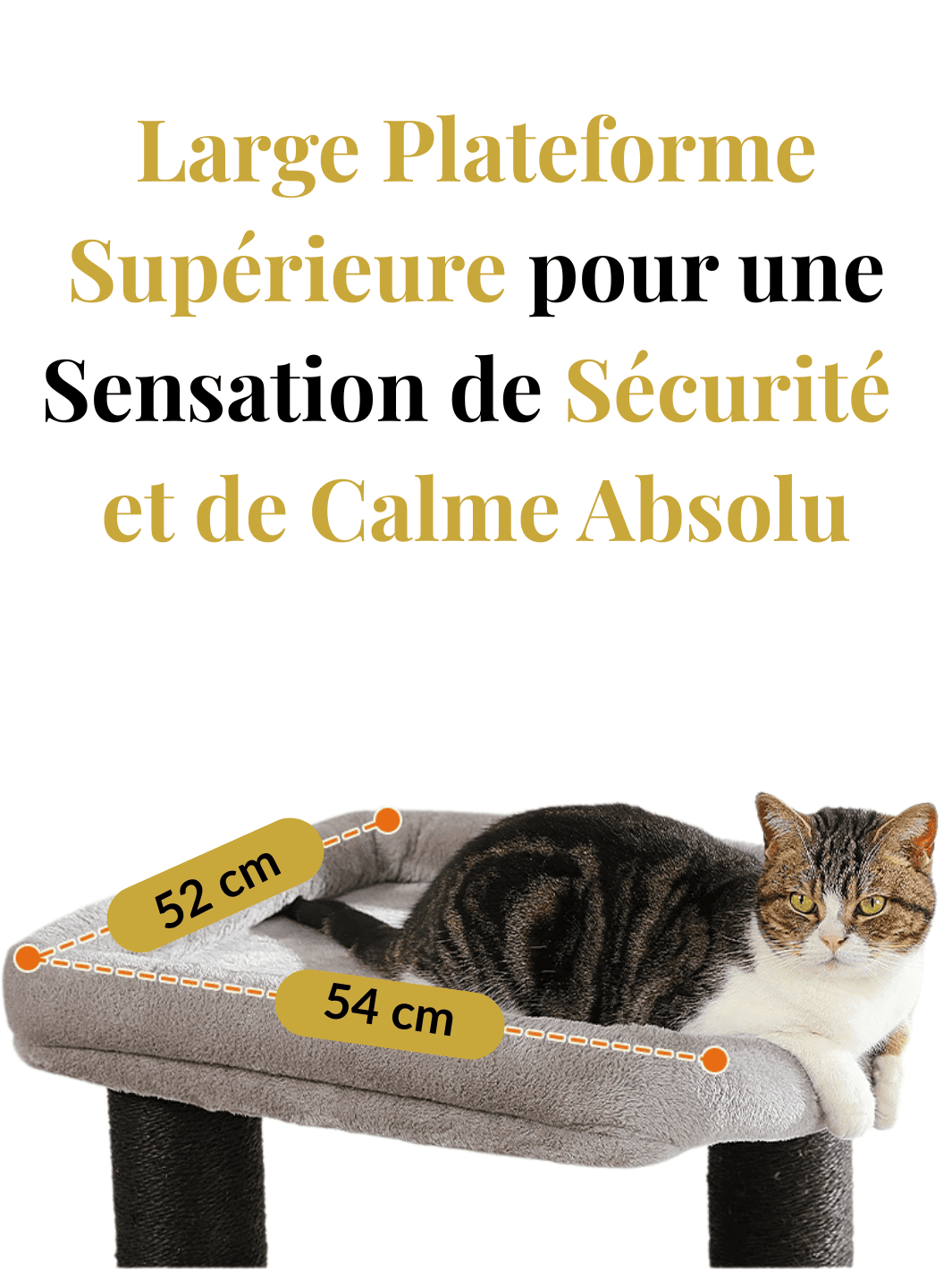 Arbre_a_Chat_Petit_Appartement_Caracteristique_1