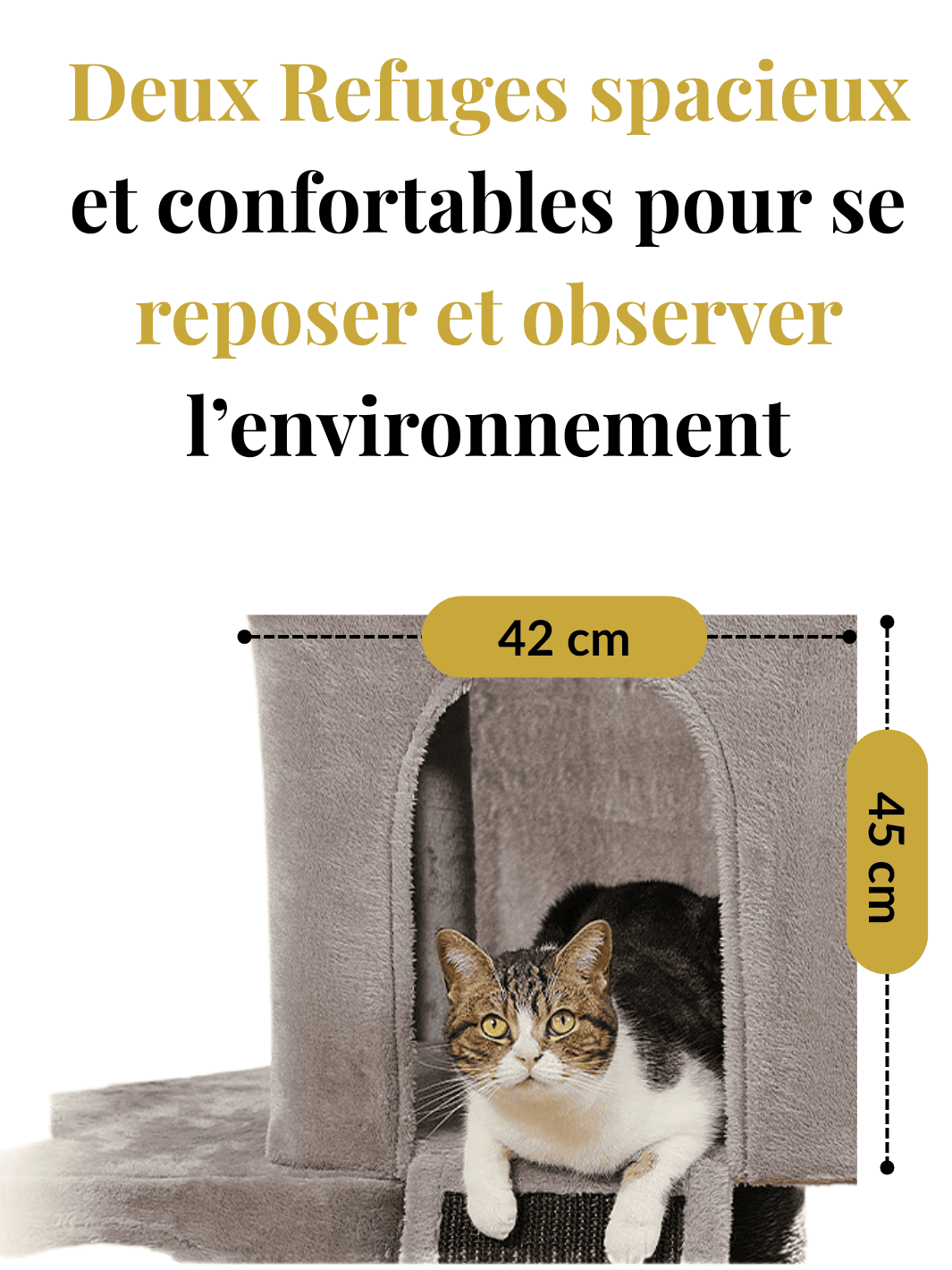 Arbre_a_Chat_Petit_Appartement_Caracteristique_2