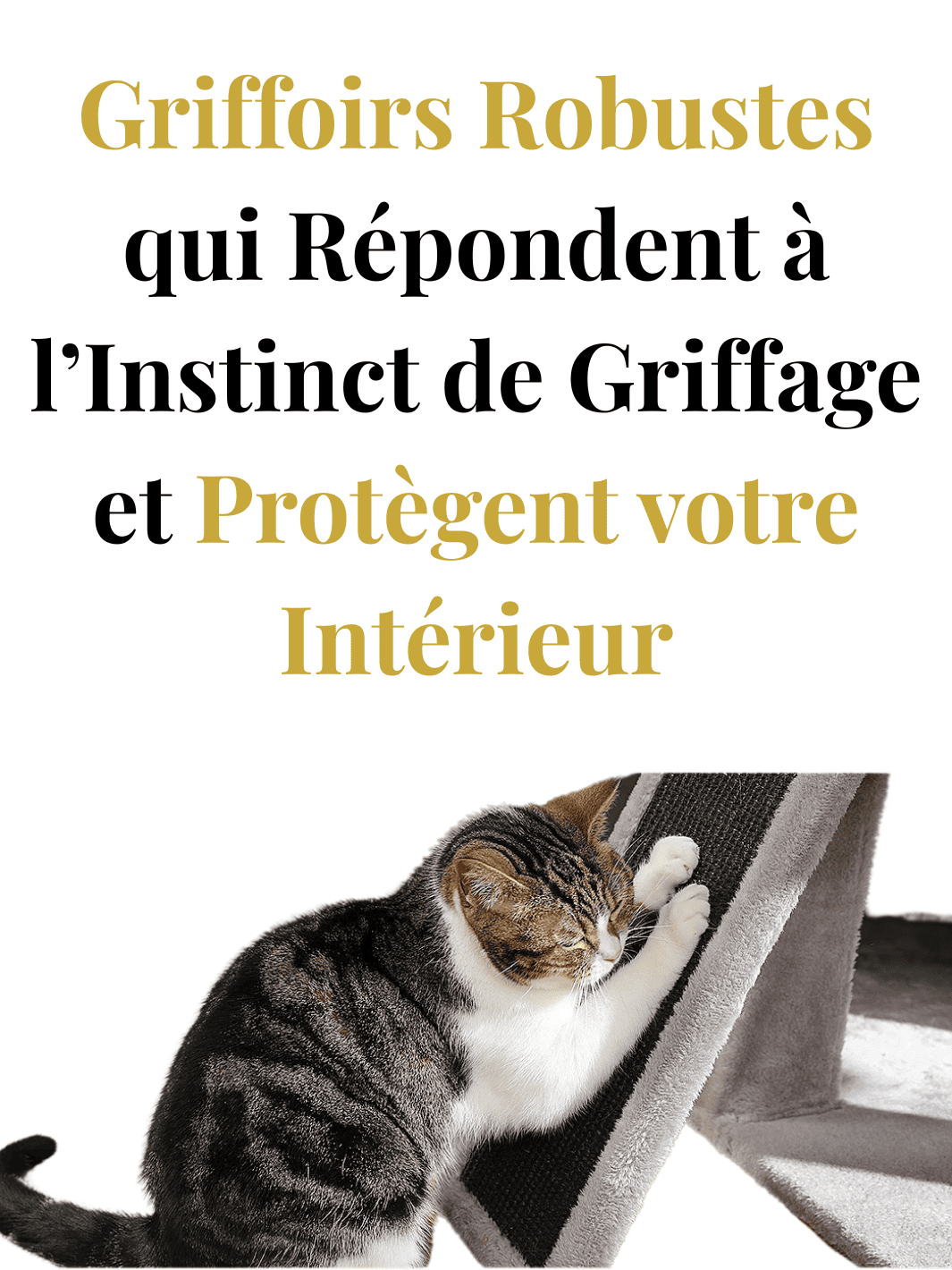 Arbre_a_Chat_Petit_Appartement_Caracteristique_3