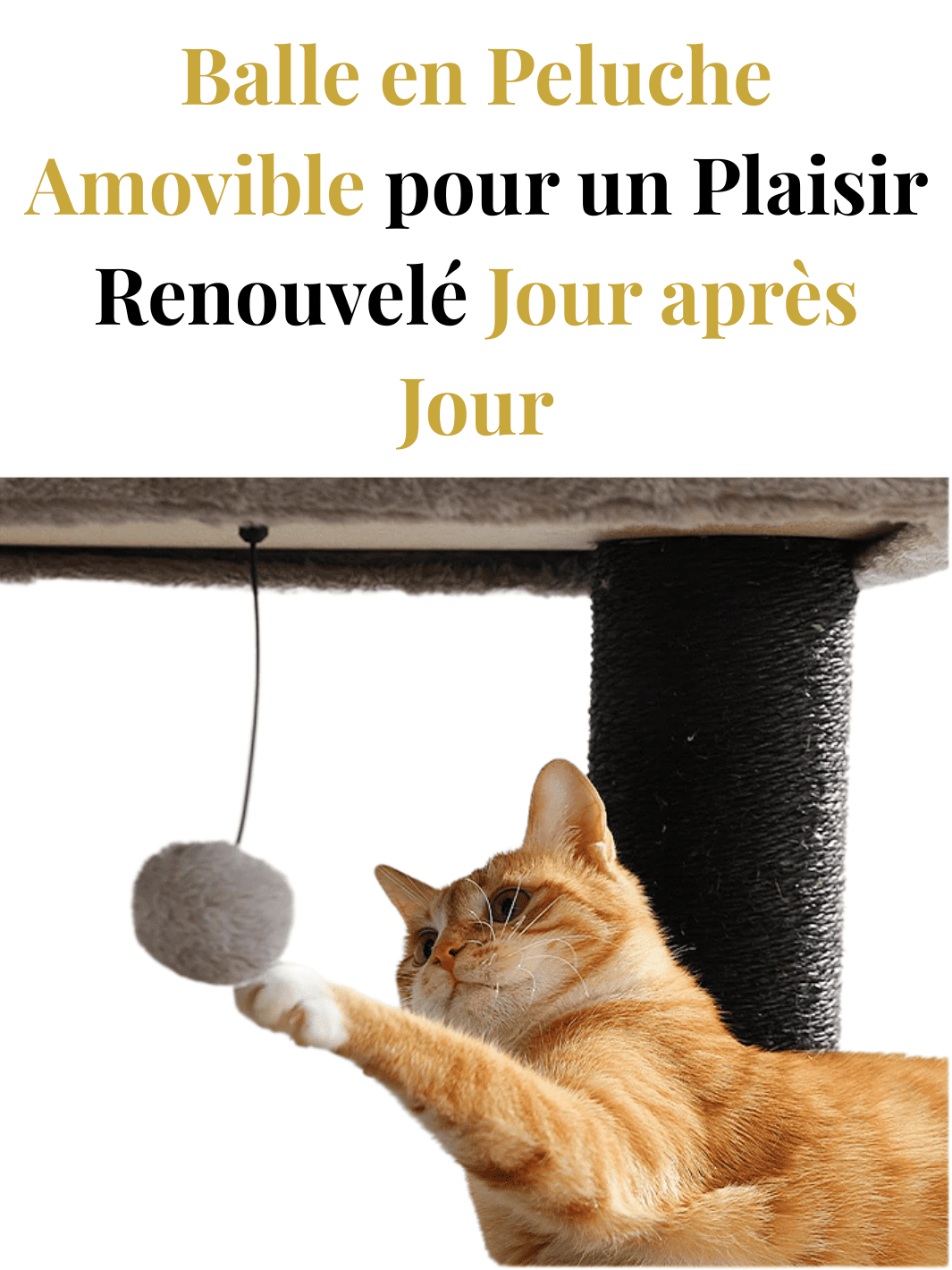 Arbre_a_Chat_Petit_Appartement_Caracteristique_4
