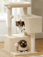 Arbre_a_Chat_Petit_Espace_Beige_Interieur