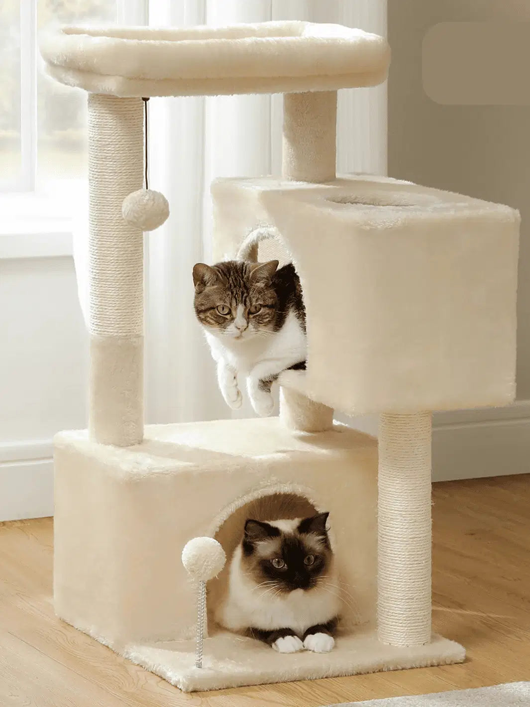 Arbre_a_Chat_Petit_Espace_Beige_Interieur