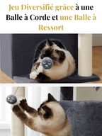 Arbre_a_Chat_Petit_Espace_Caracteristique_2