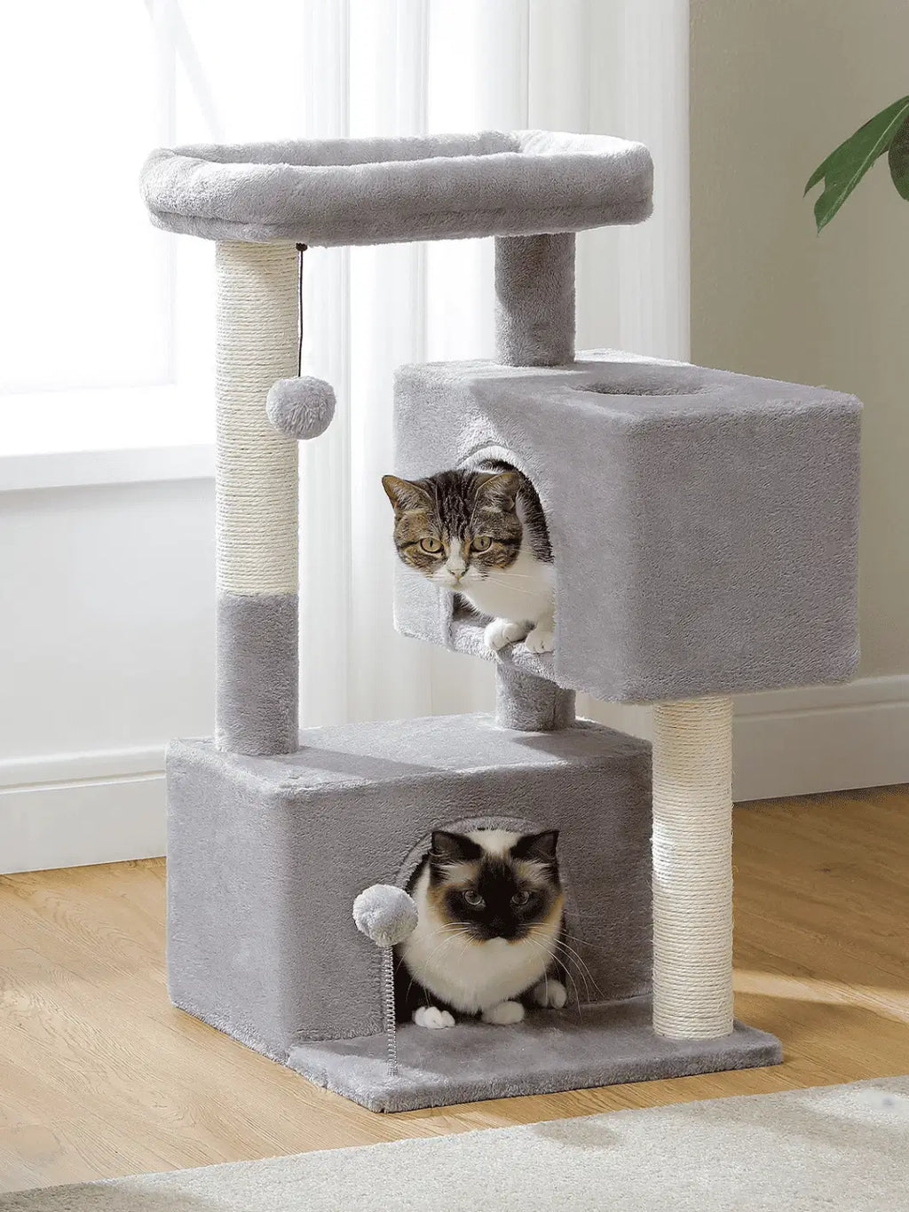 Arbre à Chat Petit Espace - Félivie