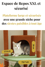 Arbre_a_Chat_Reglable_XXL_avec_Tours_et_Griffoirs_en_Sisal_Caracteristique_2