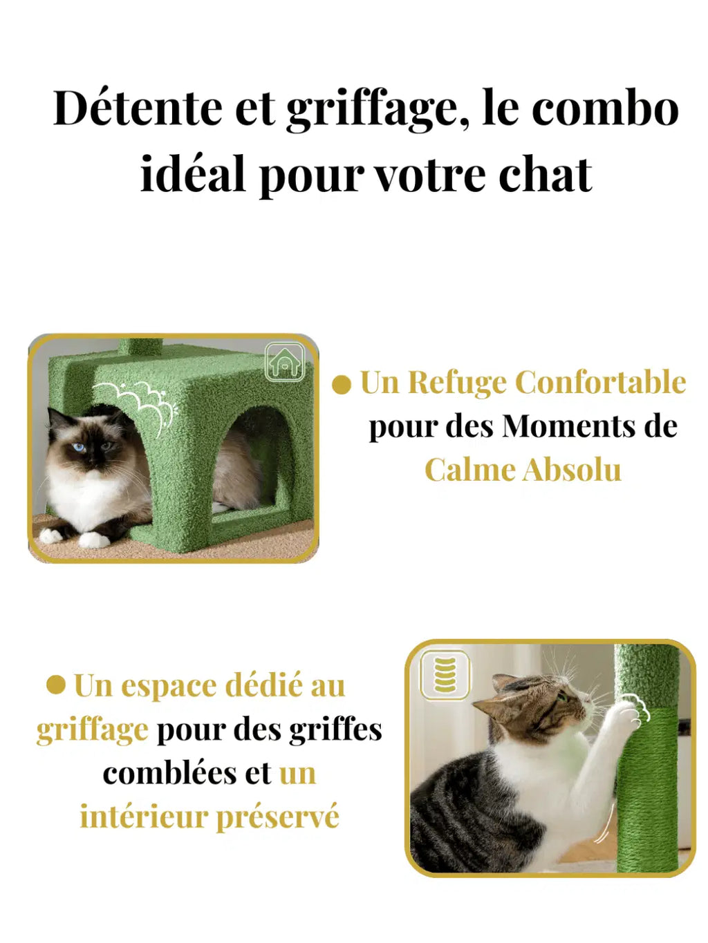 Arbre_a_Chat_Vert_143_cm_Style_Cactus_avec_Condo_et_Hamac_Caracteristique_1 - Catium