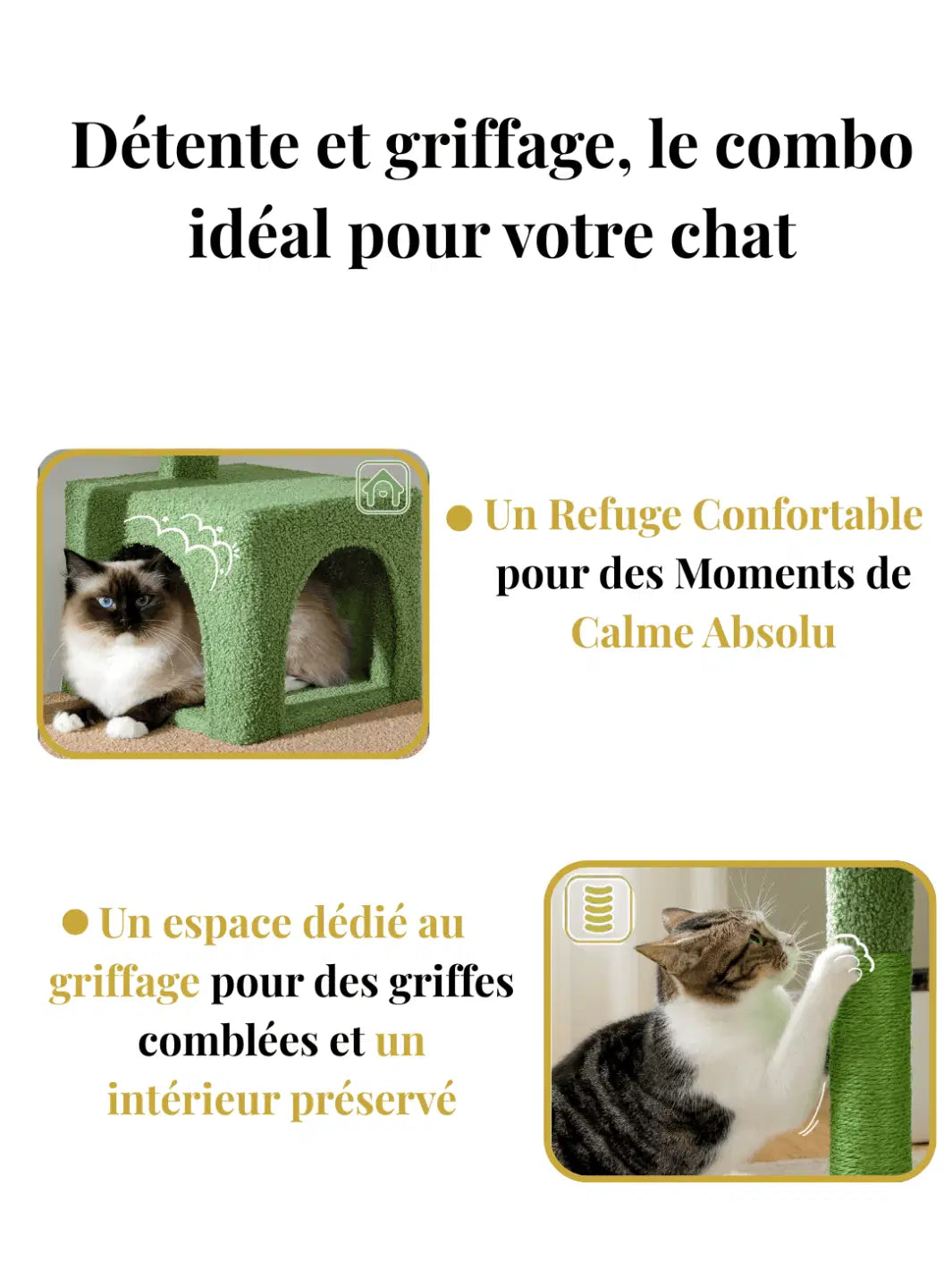 Arbre_a_Chat_Vert_143_cm_Style_Cactus_avec_Condo_et_Hamac_Caracteristique_1 - Catium
