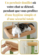 Arbre_a_Chat_Vert_143_cm_Style_Cactus_avec_Condo_et_Hamac_Caracteristique_2