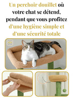 Arbre_a_Chat_Vert_143_cm_Style_Cactus_avec_Condo_et_Hamac_Caracteristique_2 - Catium
