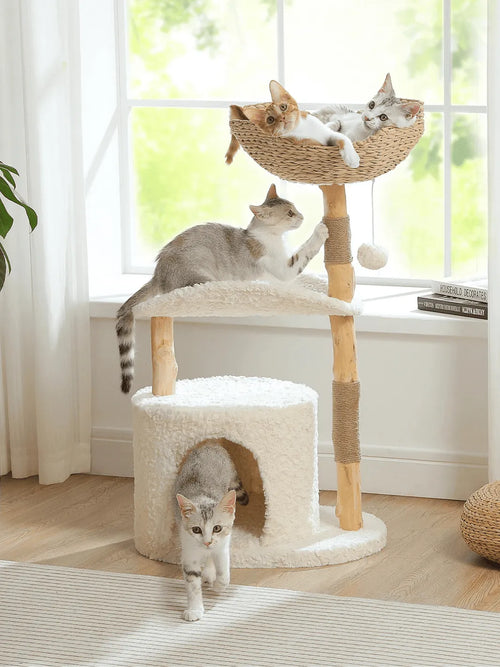 Arbre à Chat avec Panier Osier | Néora