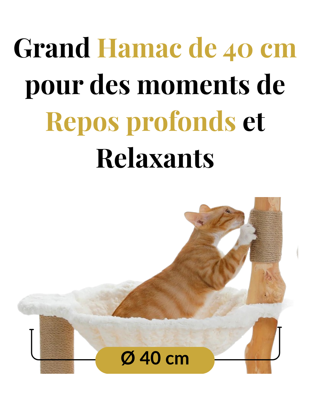 Arbre_a_Chat_en_bois_Naturel_Caracteristique_3