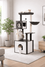 Arbre_a_chat_Bois_Massif_Noir_en_Interieur
