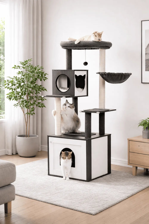 Arbre à Chat Bois Massif Noir | Ébènèa