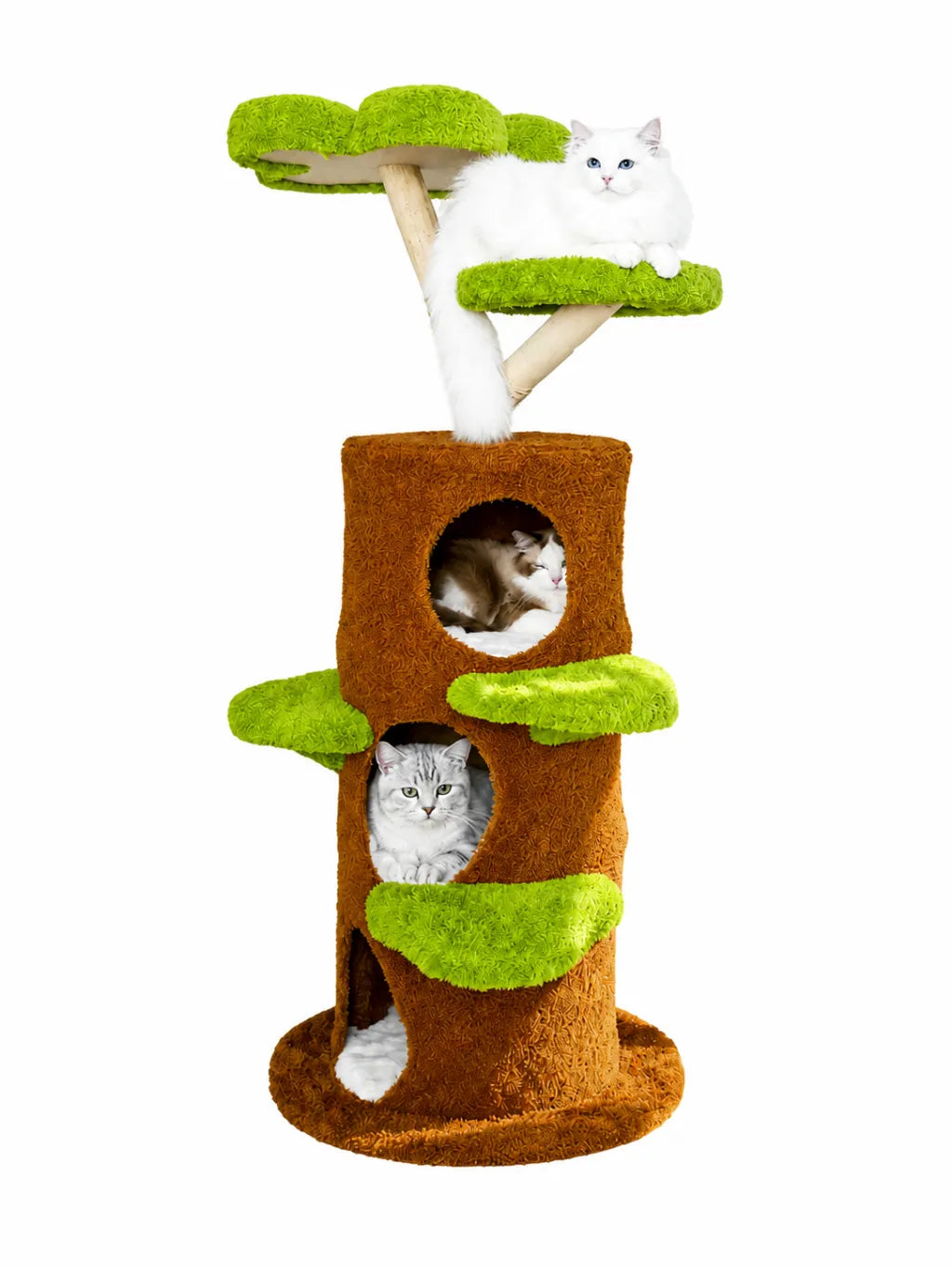 Grand Arbre à Chat Vert et Marron avec Plateforme Fleur-Verdalia
