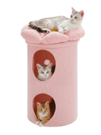 Grand_Arbre_a_Chat_Fleur