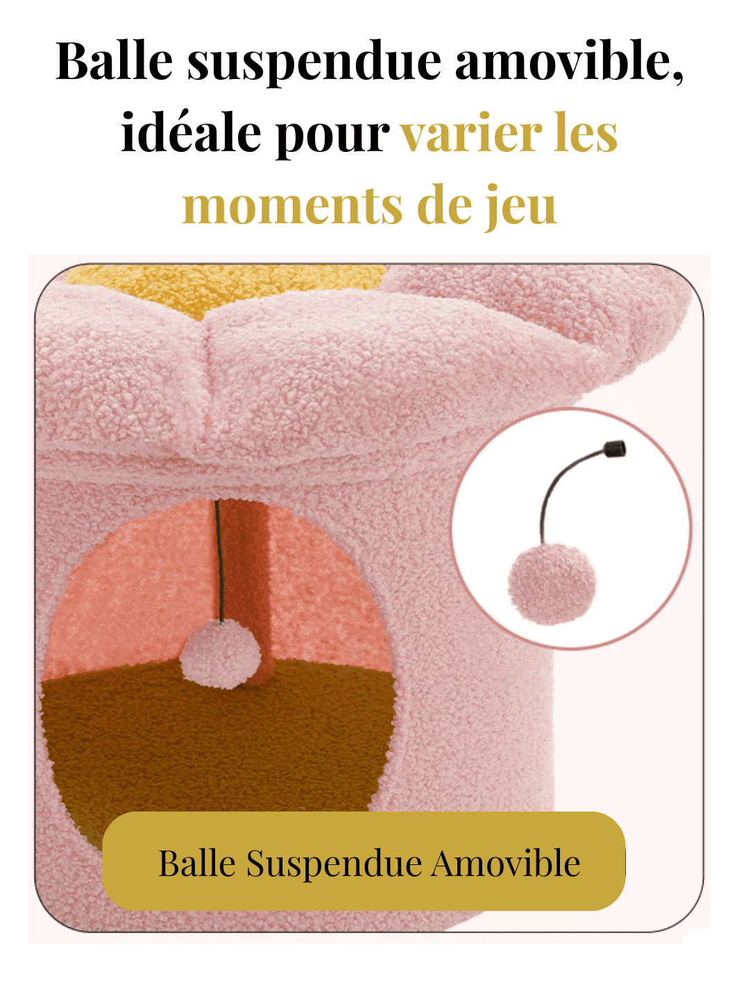 Grand_Arbre_a_Chat_Fleur_Caracteristique_1