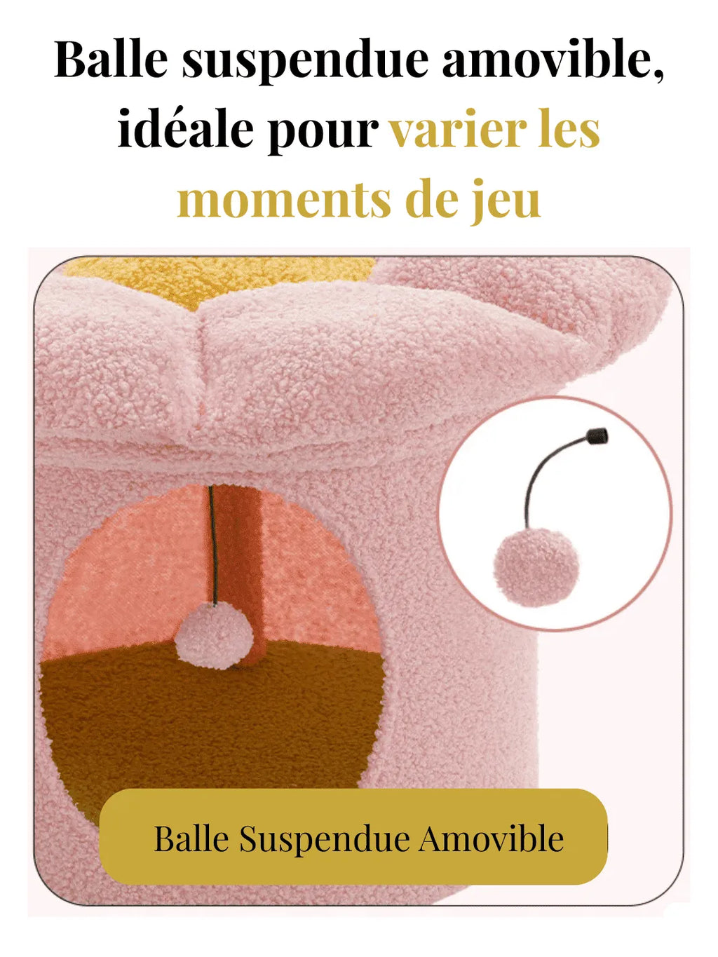 Grand_Arbre_a_Chat_Fleur_Caracteristique_1