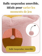 Grand_Arbre_a_Chat_Fleur_Caracteristique_1