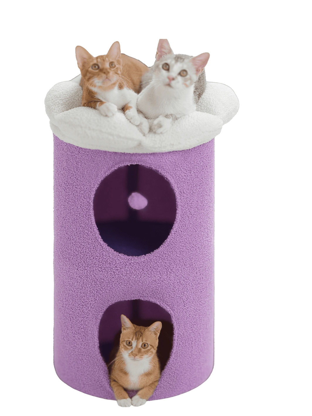 Grand_Arbre_a_Chat_Fleur_Violet