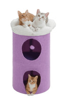 Grand_Arbre_a_Chat_Fleur_Violet