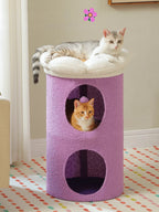 Grand Arbre à Chat Fleur Violet | Félicia