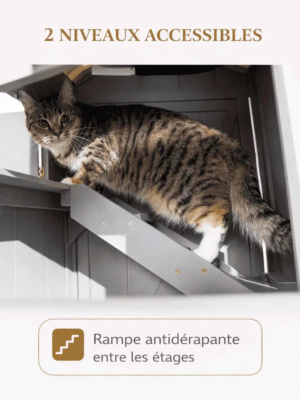Maison Chat Bois 2 Niveaux avec Hamac et Balcon | Firalys
