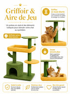 Petit Arbre a Chat Cactus Vert avec Niche-caracteristique1