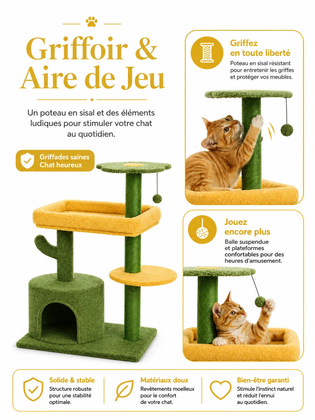 Petit Arbre a Chat Cactus Vert avec Niche-caracteristique1