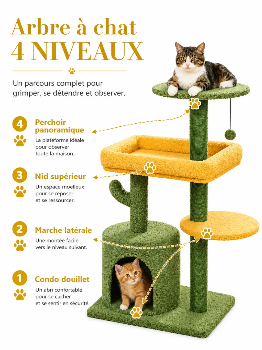 Petit Arbre a Chat Cactus Vert avec Niche-caracteristique2