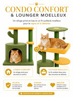 Petit Arbre a Chat Cactus Vert avec Niche-caracteristique3