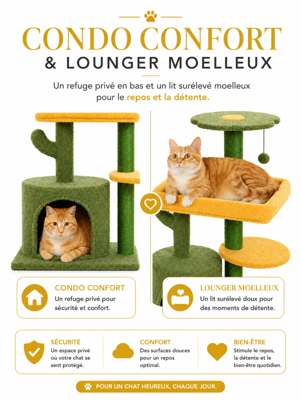 Petit Arbre a Chat Cactus Vert avec Niche-caracteristique3