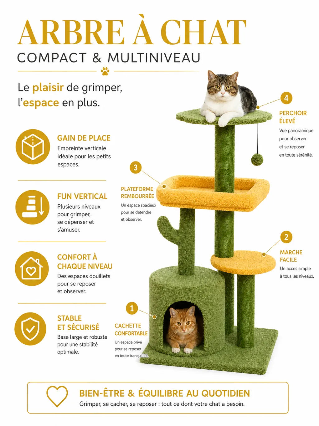 Petit Arbre a Chat Cactus Vert avec Niche-caracteristique4