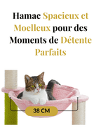 Petit_Arbre_a_Chat_Pas_Cher_Caracteristique_1