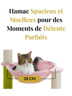 Petit_Arbre_a_Chat_Pas_Cher_Caracteristique_1