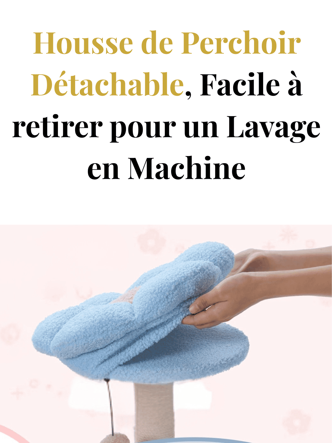 Petit_Arbre_a_Chat_Pas_Cher_Caracteristique_2