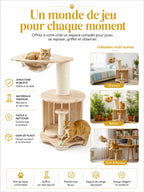 Capsule transparente de l’arbre à chat Astralia pour observer la pièce