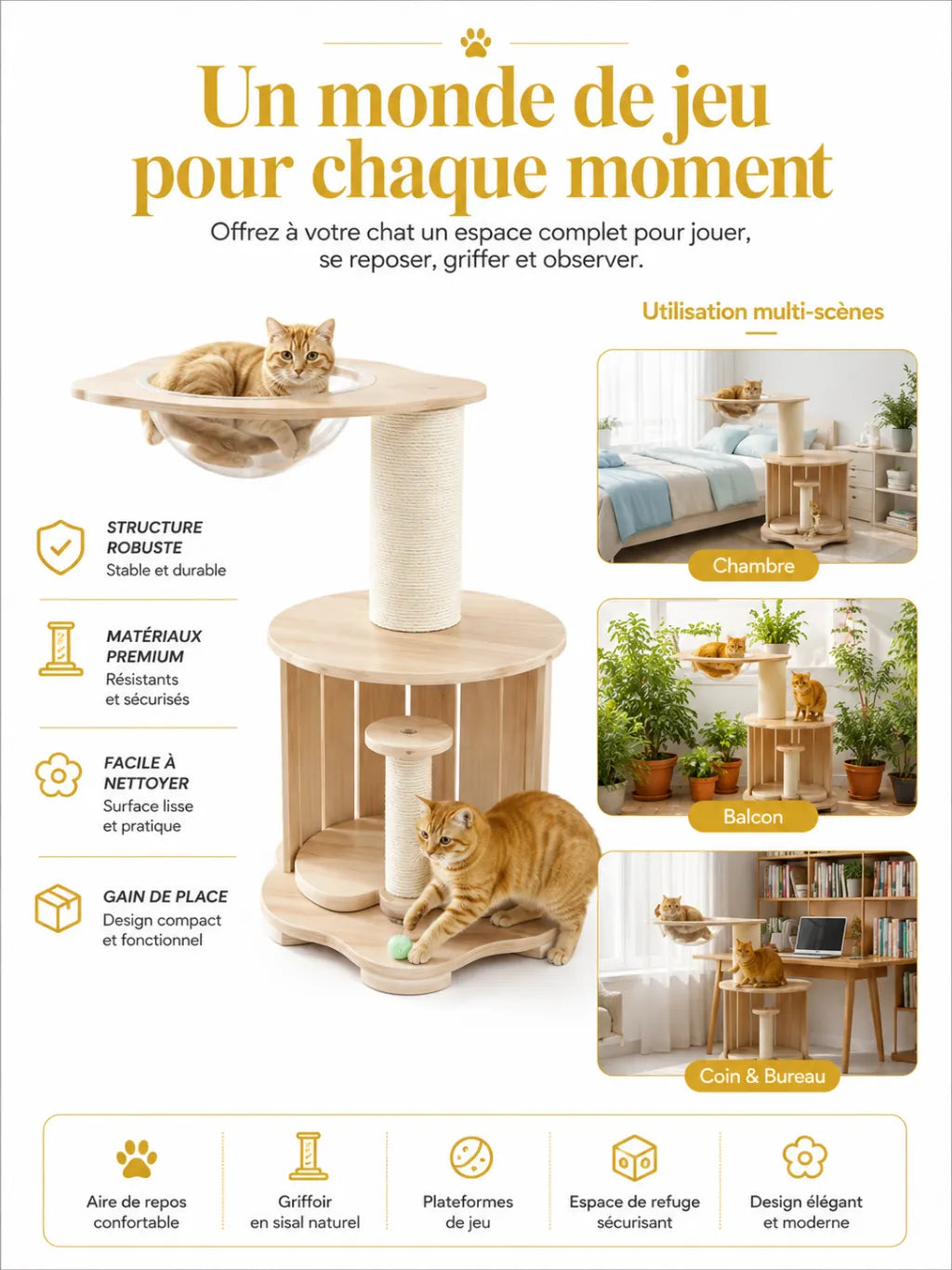 Capsule transparente de l’arbre à chat Astralia pour observer la pièce