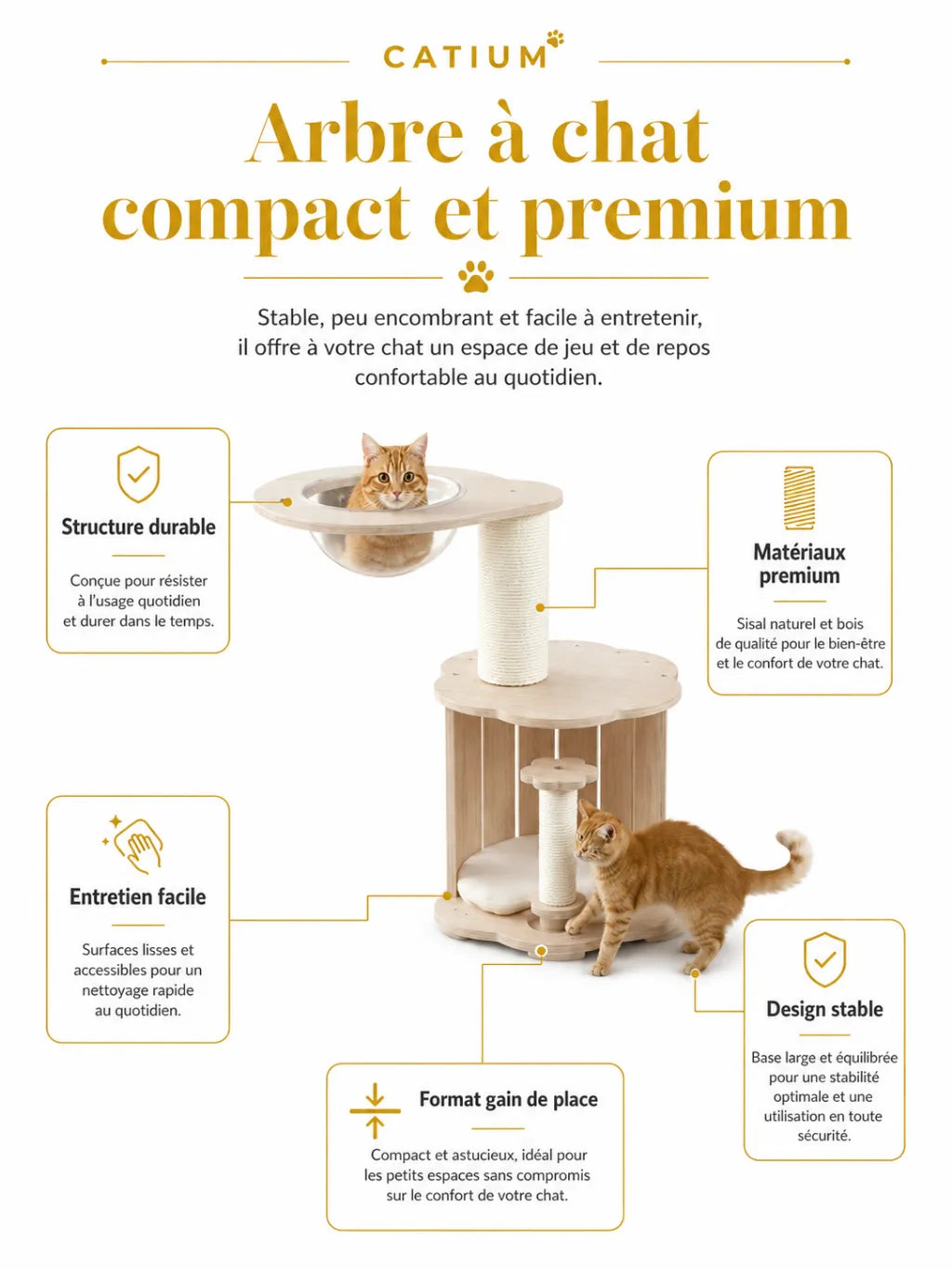 Circuit de balles de l’arbre à chat Astralia pour stimuler le jeu