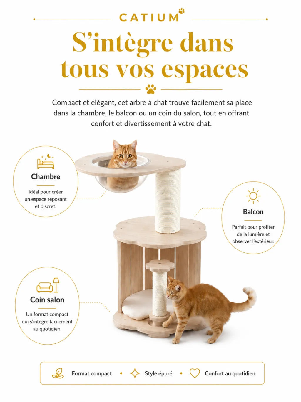 Niche cosy de l’arbre à chat bois Astralia avec tapis de repos