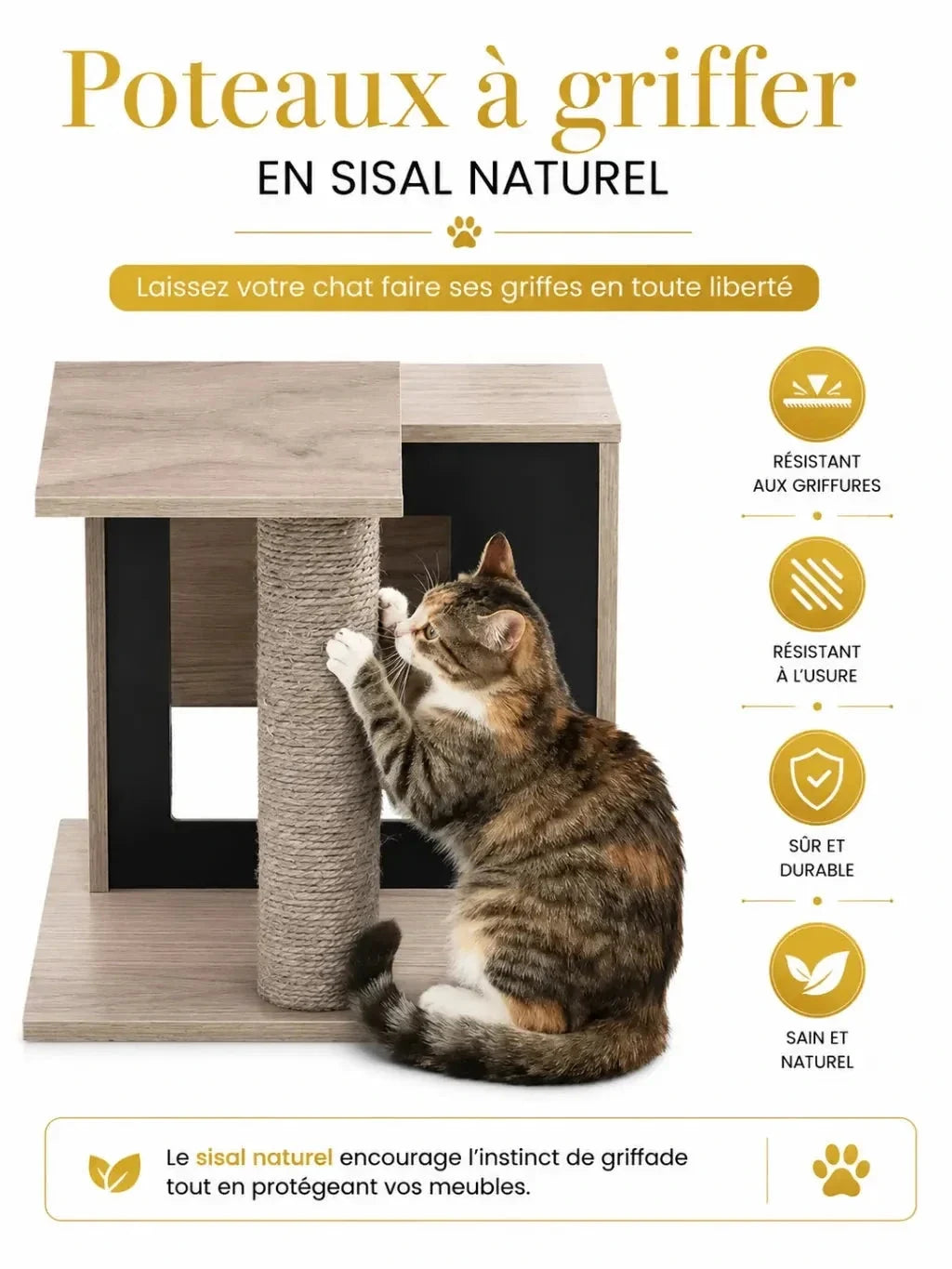 Quatre poteaux recouverts de sisal autour des niches de l’arbre à chat bois gris Cubélia
