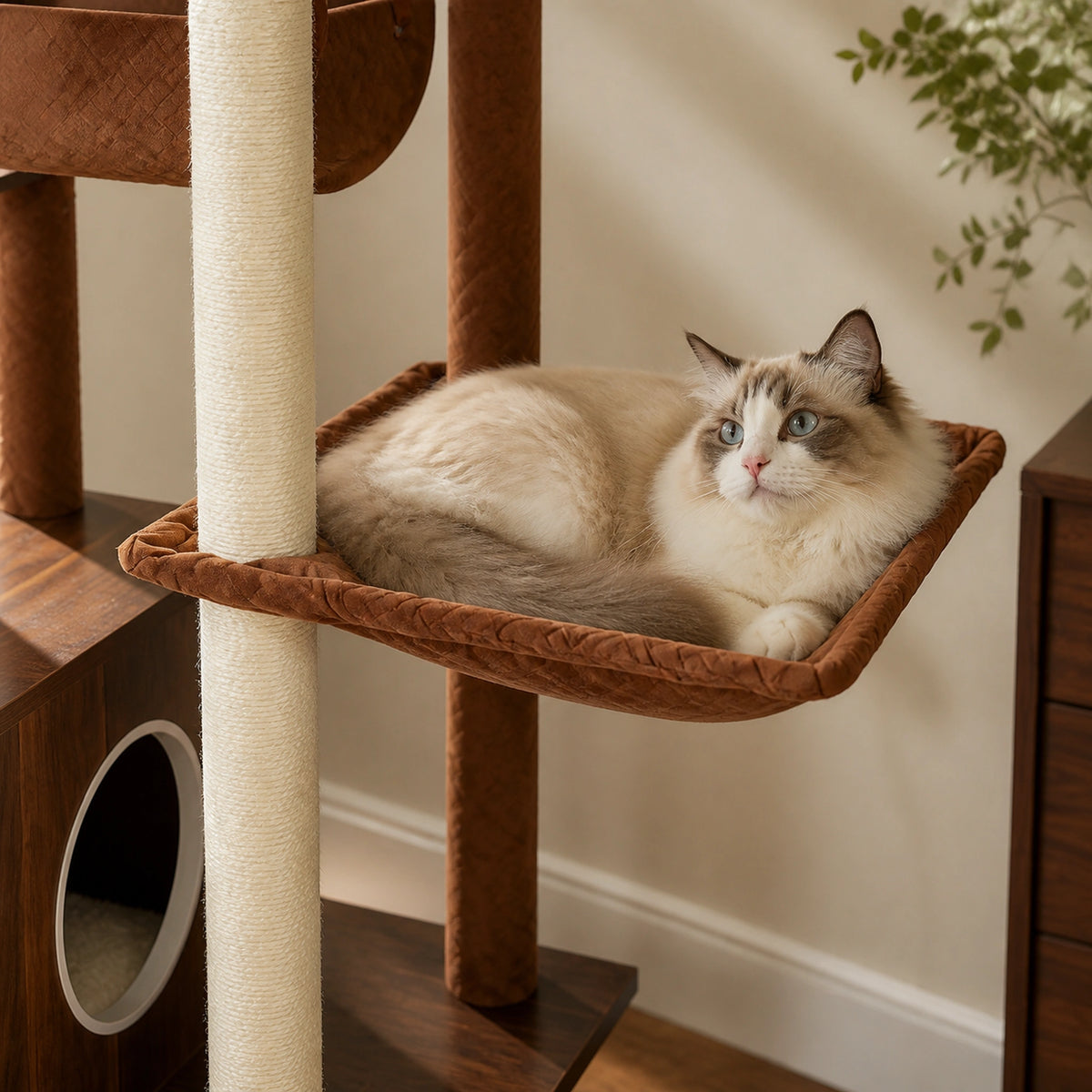 Grand hamac de l’arbre à chat en bois marron Novera avec un chat adulte couché entre les poteaux